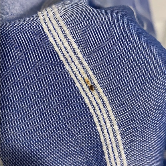 AE Blue Striped Summer Dress - Picture 5 of 5